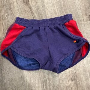 Aviator Nation Shorts. Size XS Purple
